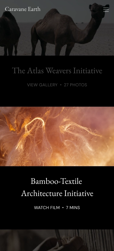 Mobile image webpage for a non-profit cultural organization with a description