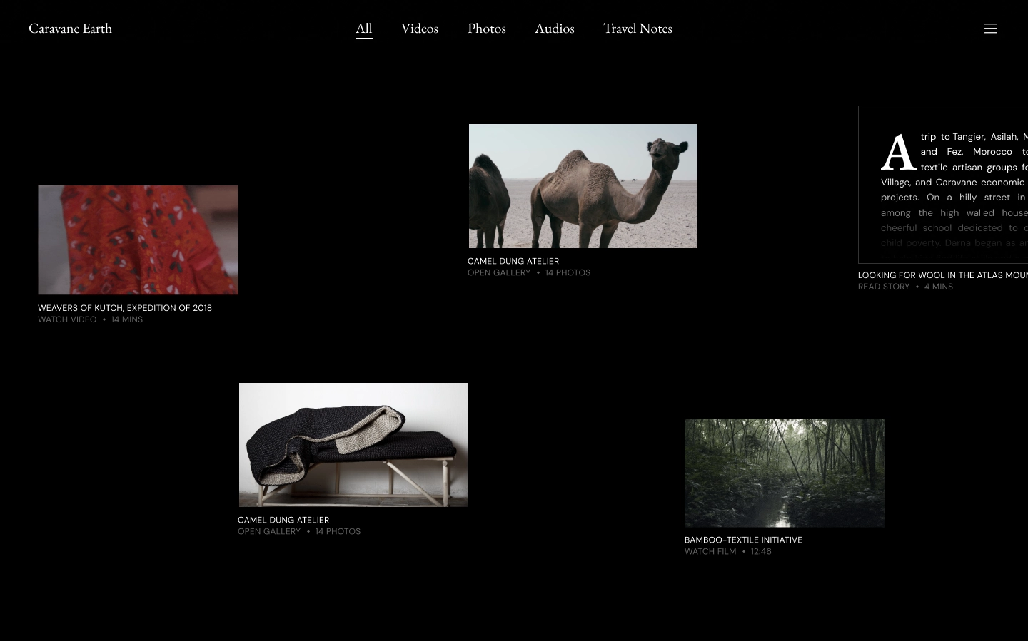 Dark webpage for a non-profit cultural organization with content preview