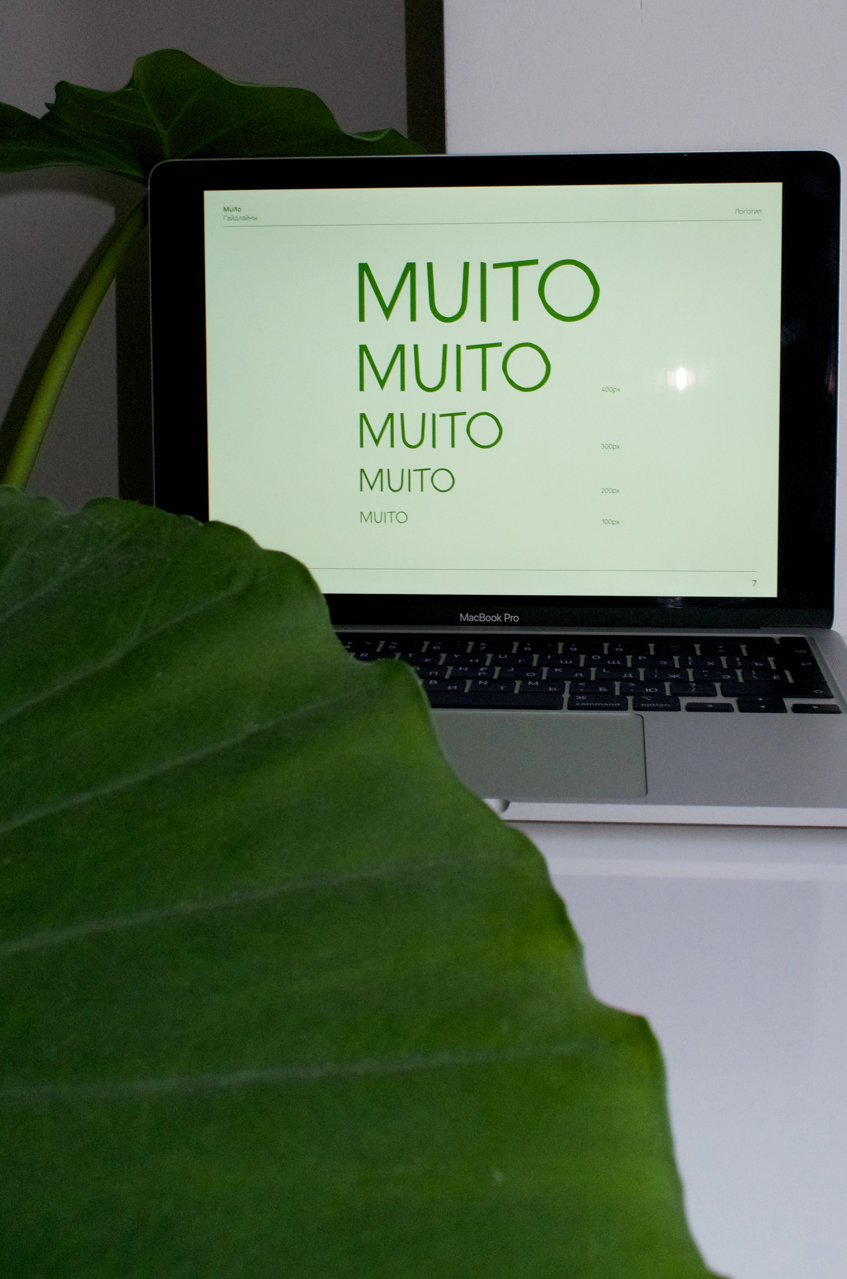 Minimalist brand design for a flower company on a laptop screen