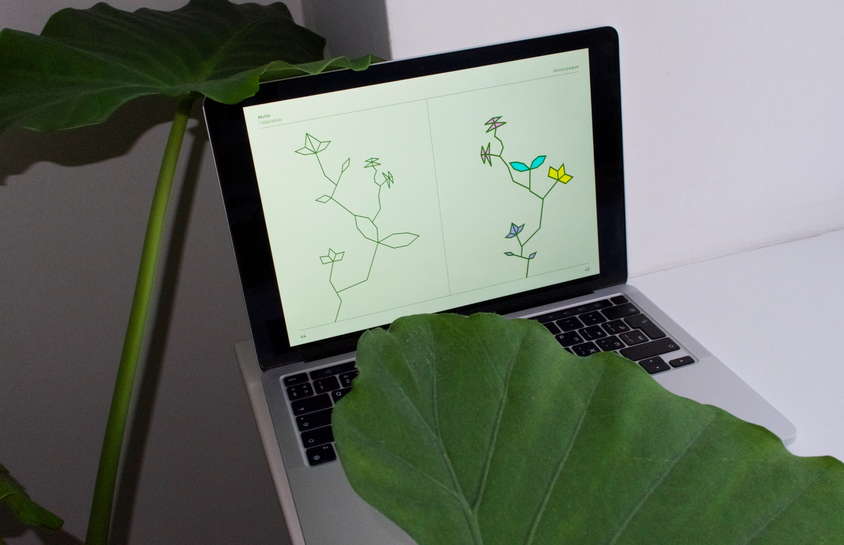 Minimalist brand design for a flower company on a laptop screen